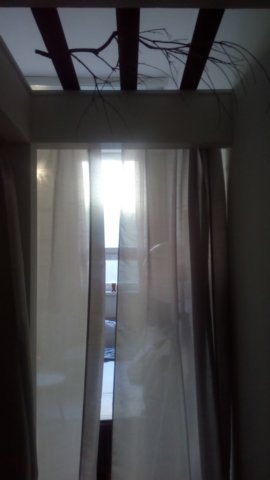 photo7.jpg
