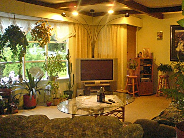 photo3.jpg