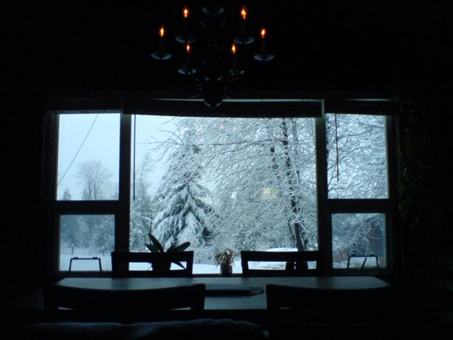 photo12.jpg