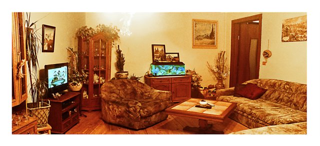 photo7.jpg