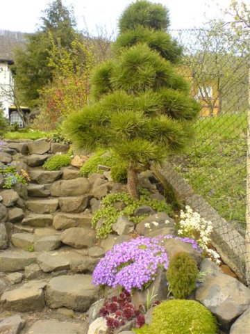 photo10.jpg
