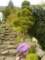 photo11_small.jpg