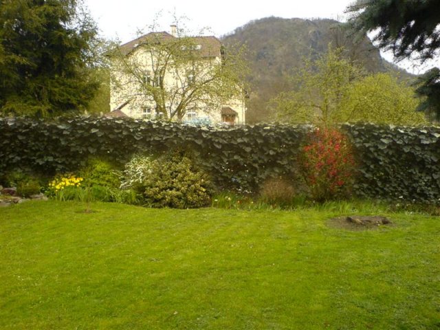 photo13.jpg