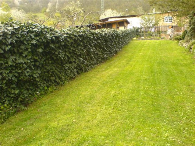 photo17.jpg