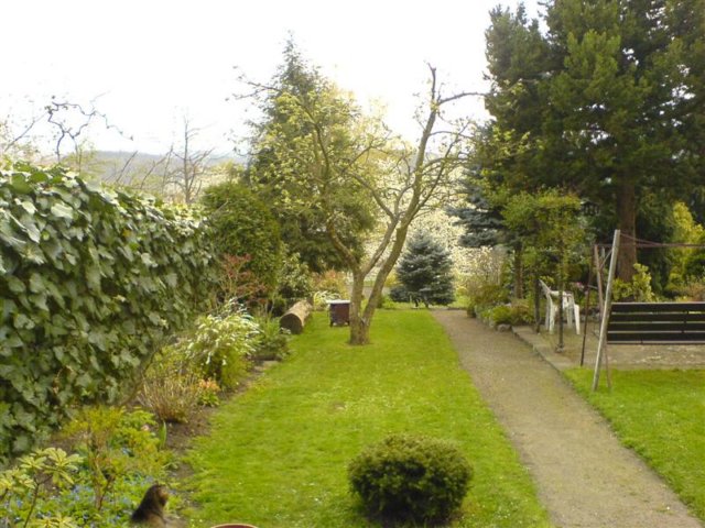 photo25.jpg