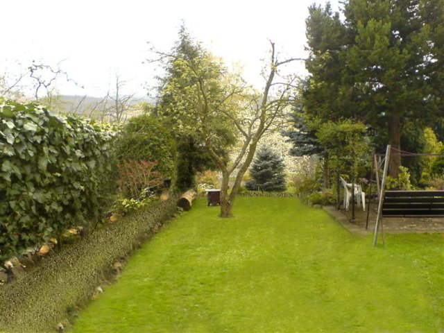 photo27.jpg