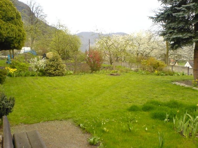 photo29.jpg