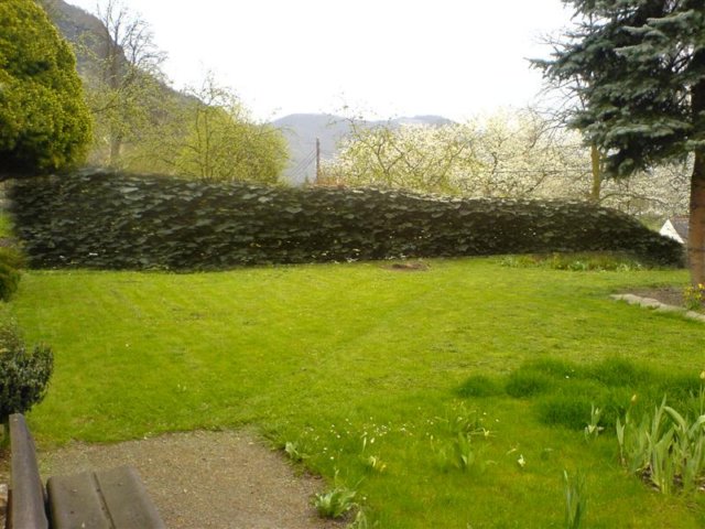 photo31.jpg