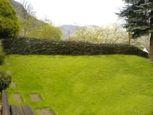 photo33.jpg