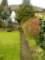 photo9_small.jpg