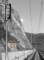 photo100_small.jpg