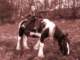 photo16_small.jpg