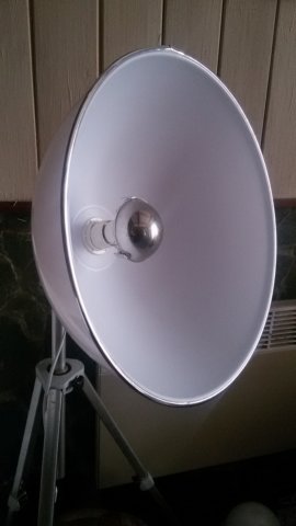 photo19.jpg