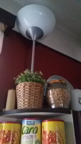 photo22.jpg