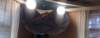 photo7_small.jpg